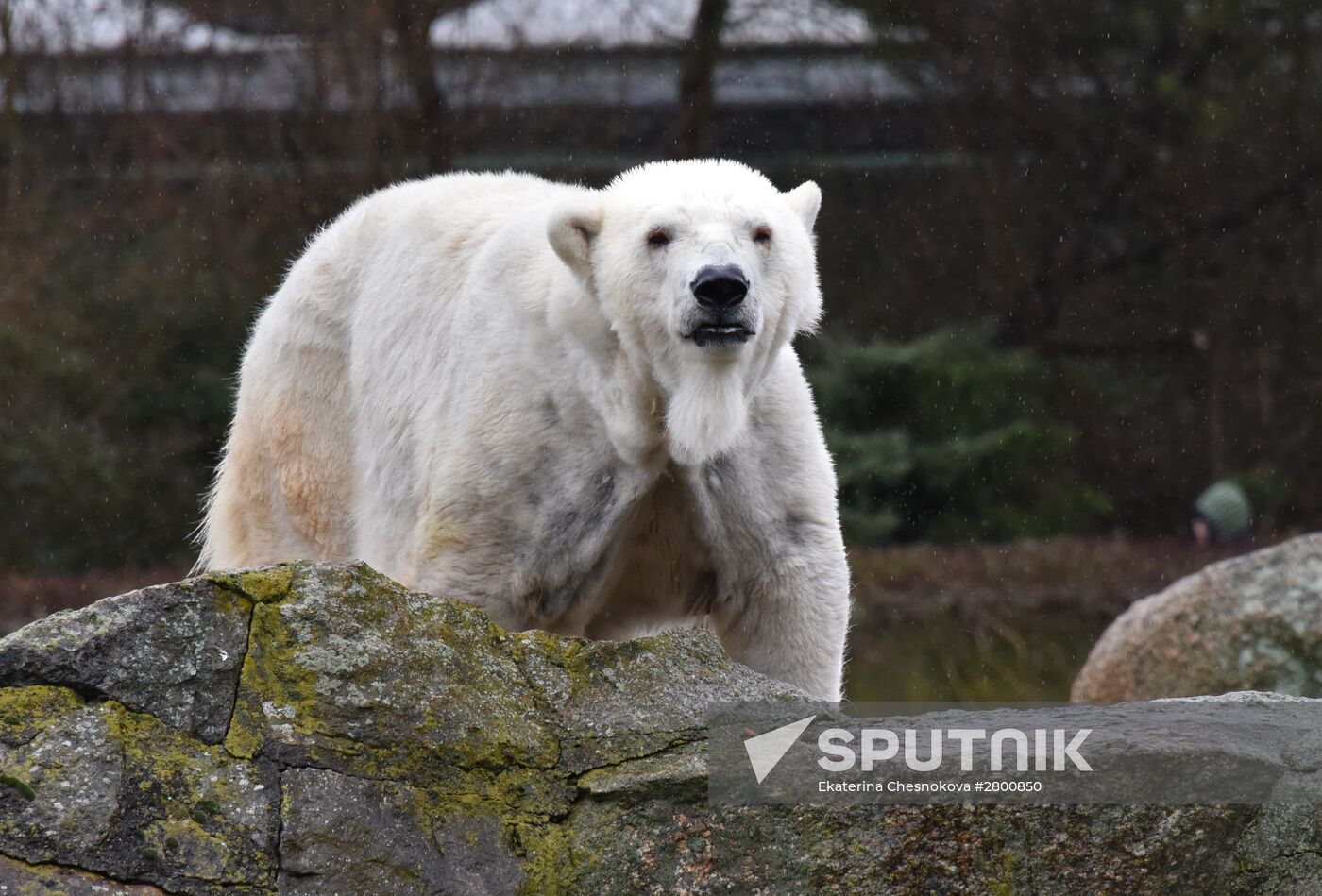 Cities of the world. Berlin Zoological Garden
