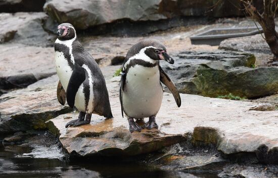 Cities of the world. Berlin Zoological Garden
