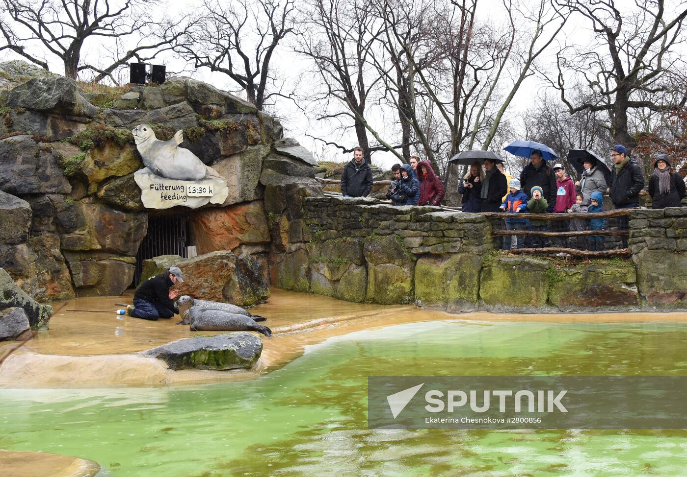 Cities of the world. Berlin Zoological Garden