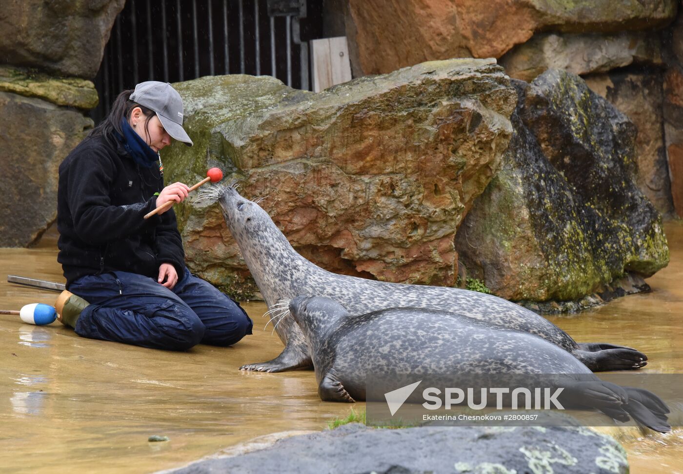 Cities of the world. Berlin Zoological Garden
