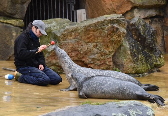 Cities of the world. Berlin Zoological Garden
