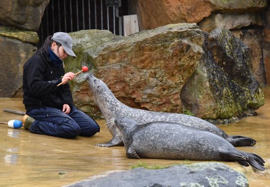 Cities of the world. Berlin Zoological Garden