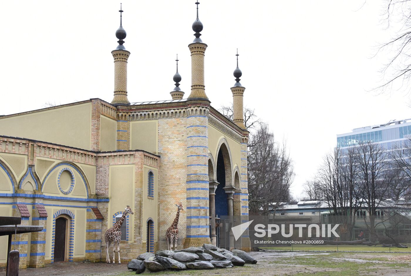 Cities of the world. Berlin Zoological Garden