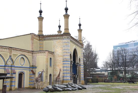 Cities of the world. Berlin Zoological Garden