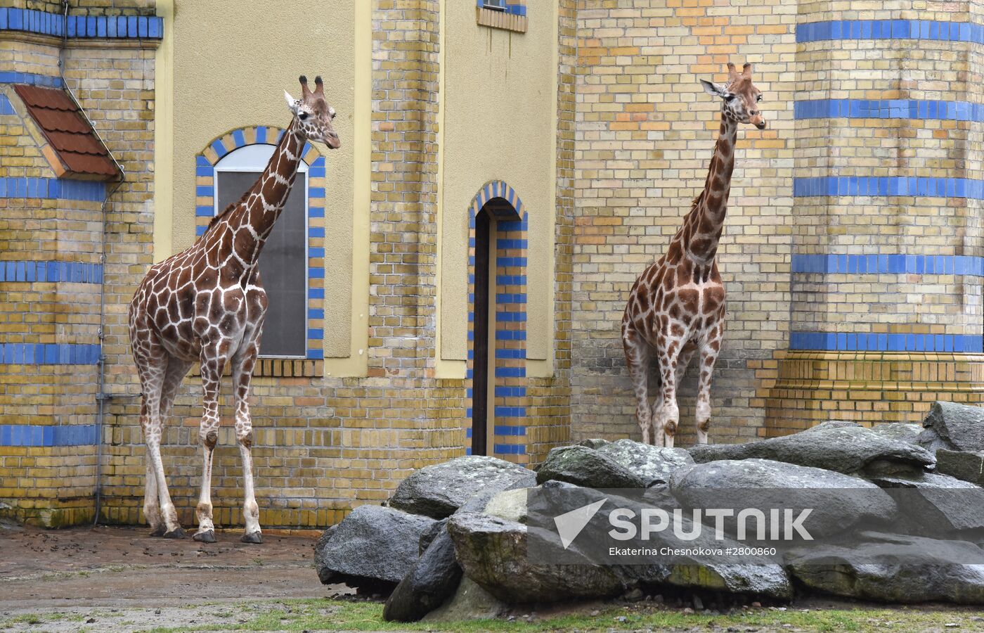 Cities of the world. Berlin Zoological Garden