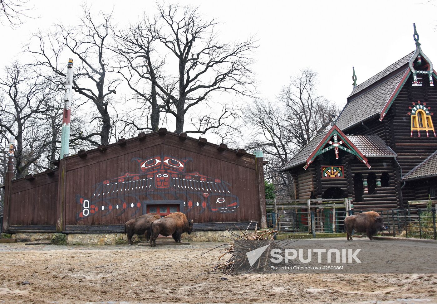 Cities of the world. Berlin Zoological Garden