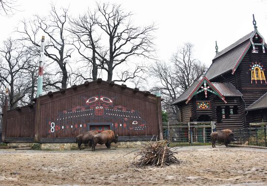 Cities of the world. Berlin Zoological Garden