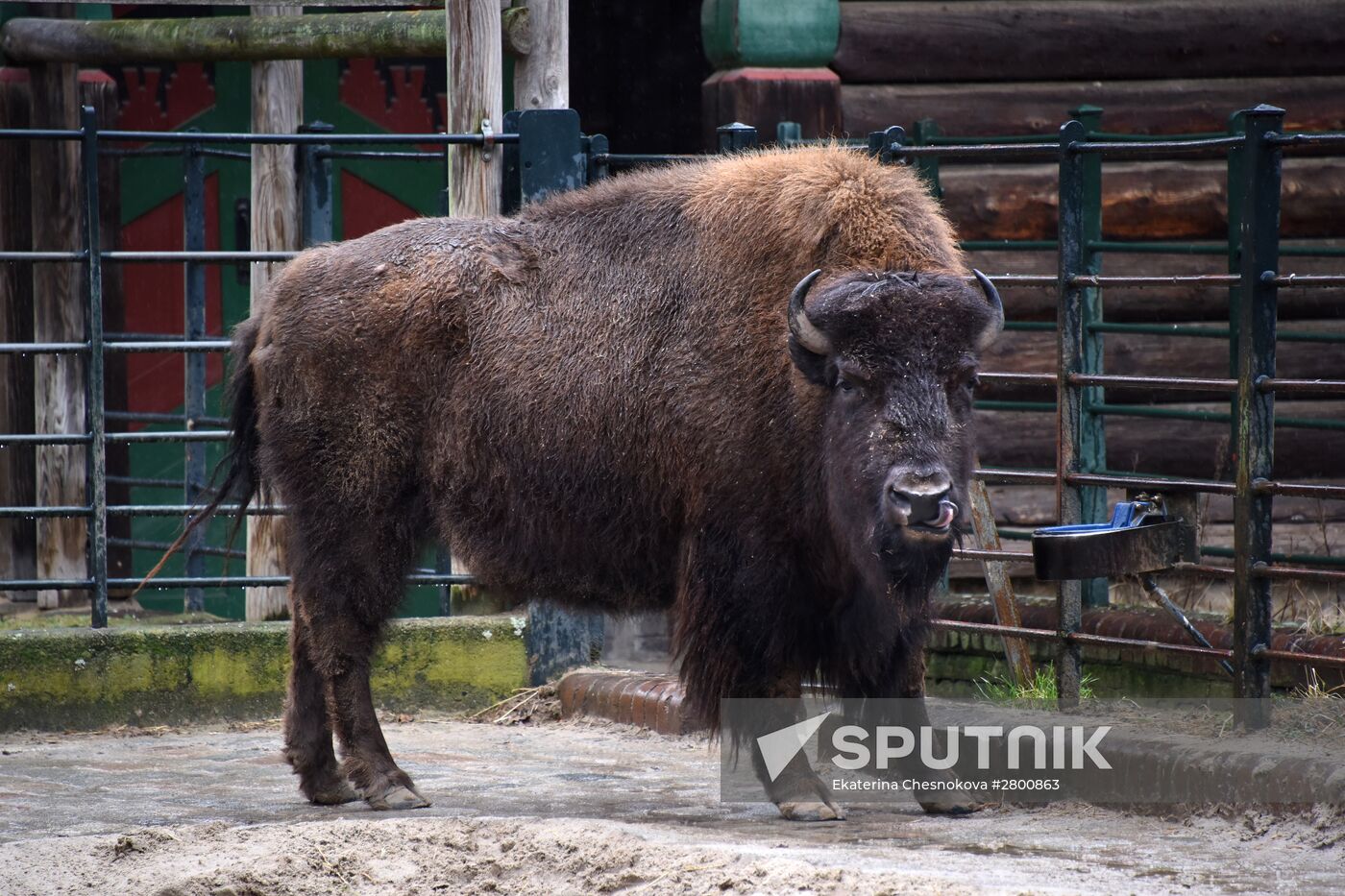 Cities of the world. Berlin Zoological Garden