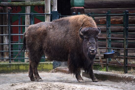 Cities of the world. Berlin Zoological Garden