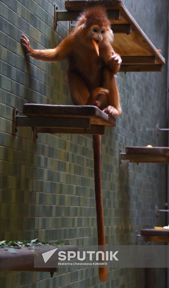Cities of the world. Berlin Zoological Garden
