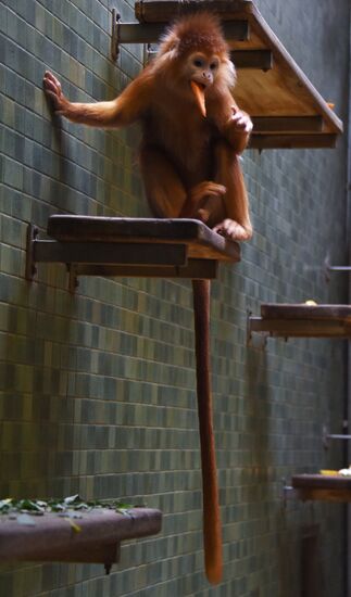 Cities of the world. Berlin Zoological Garden