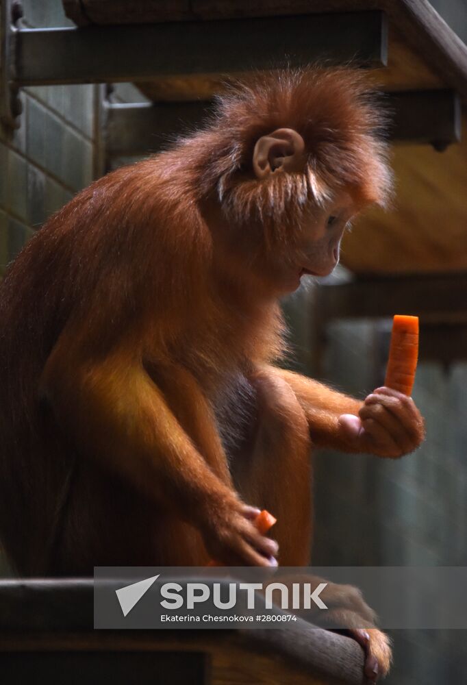 Cities of the world. Berlin Zoological Garden