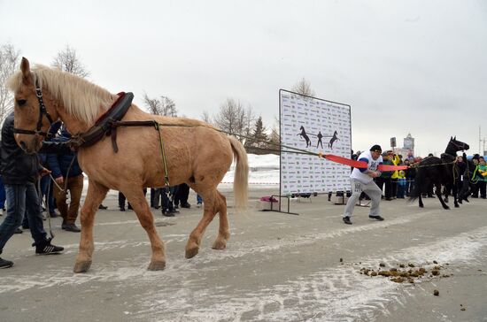 Chelyabinsk strongman Elbrus Nigmatullin performs unique stunt of restraining two horses