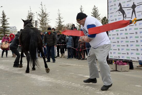 Chelyabinsk strongman Elbrus Nigmatullin performs unique stunt of restraining two horses