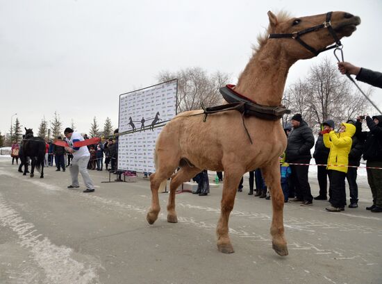 Chelyabinsk strongman Elbrus Nigmatullin performs unique stunt of restraining two horses