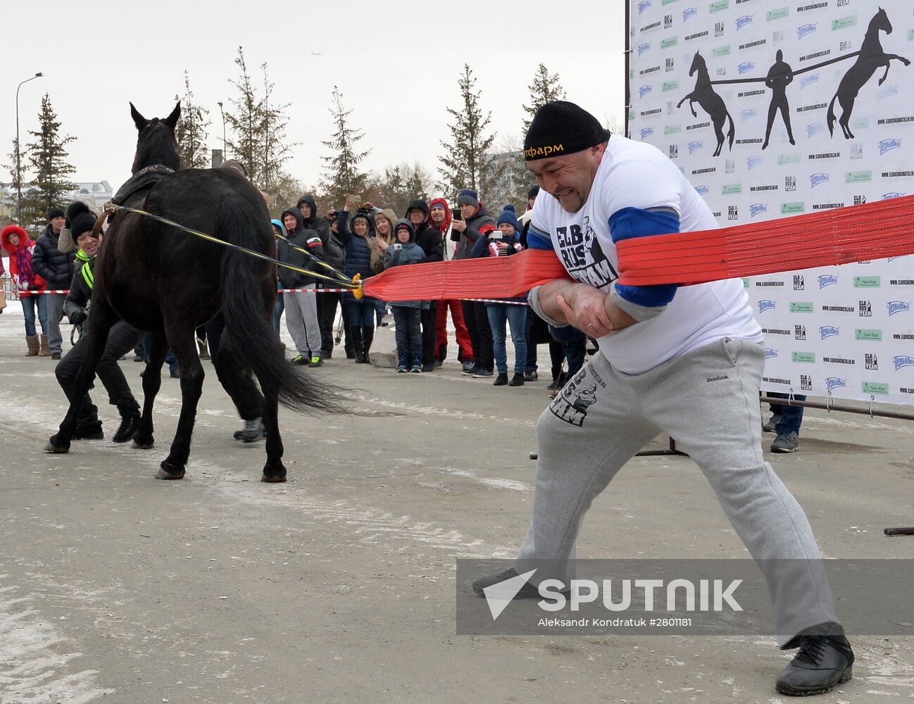 Chelyabinsk strongman Elbrus Nigmatullin performs unique stunt of restraining two horses