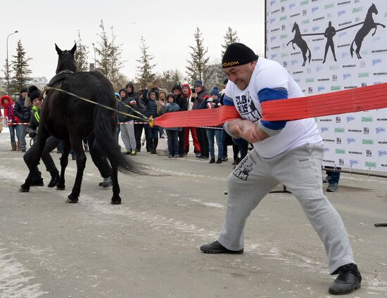 Chelyabinsk strongman Elbrus Nigmatullin performs unique stunt of restraining two horses
