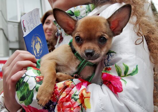 Alina Zykova from Sevastopol presented with puppy