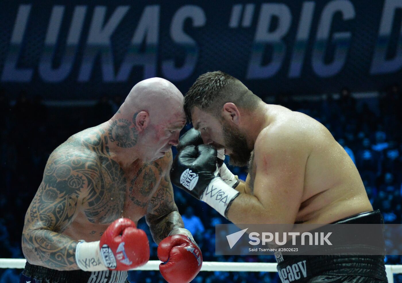 Boxing. Ruslan Chagaev vs. Lucas Browne