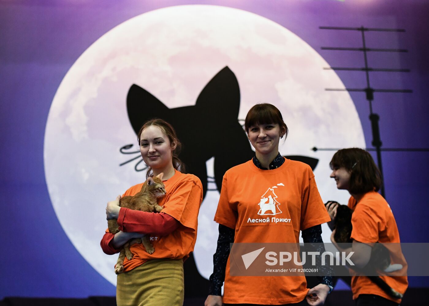 2016 Catsburg international cat show