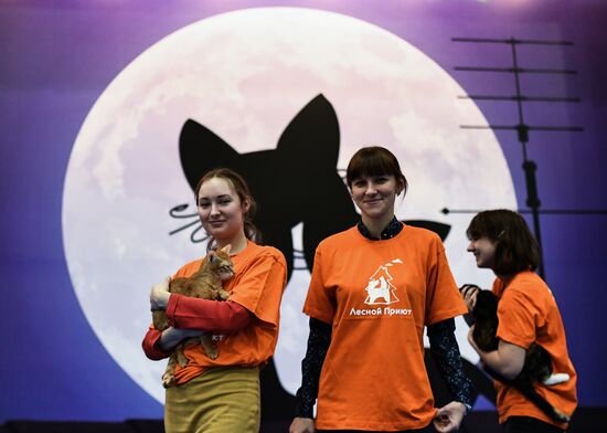 2016 Catsburg international cat show