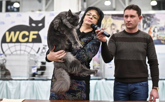 2016 Catsburg international cat show