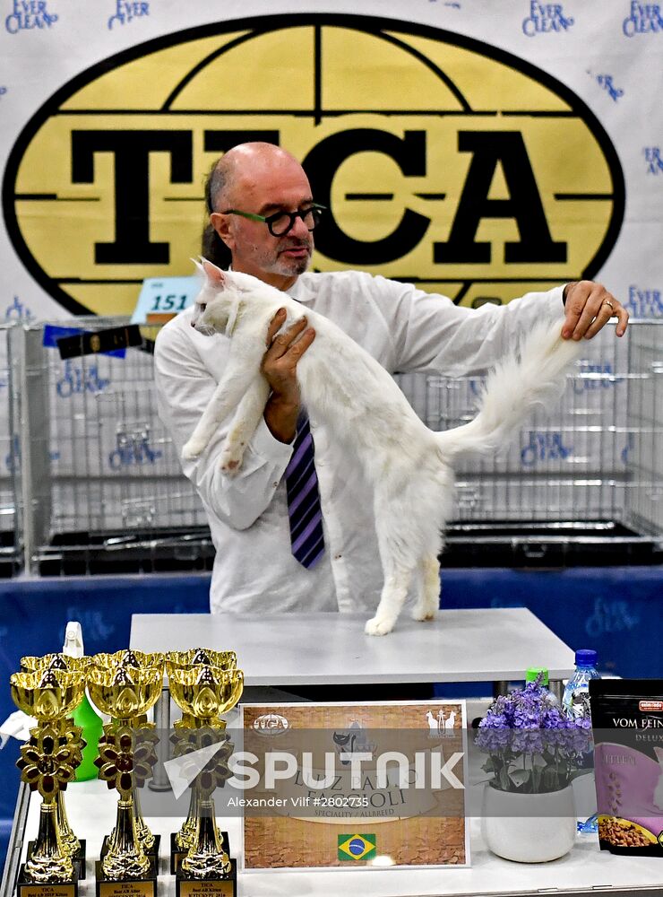 2016 Catsburg international cat show