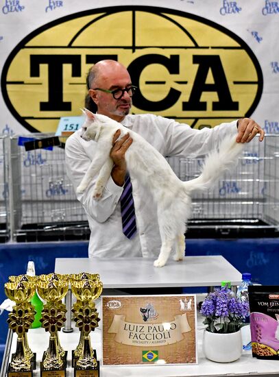 2016 Catsburg international cat show