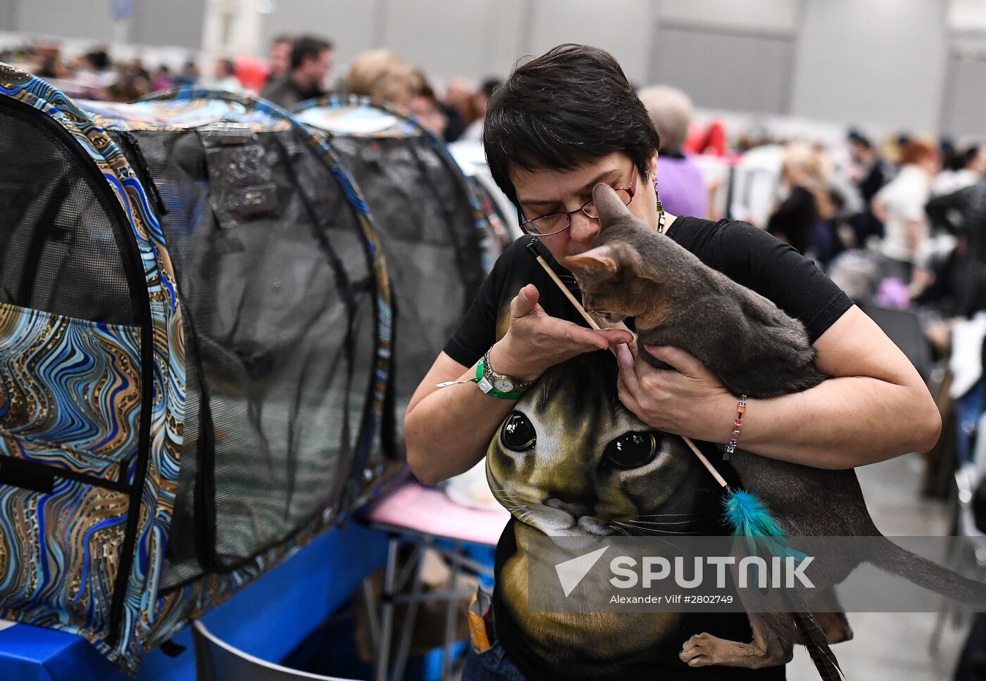2016 Catsburg international cat show