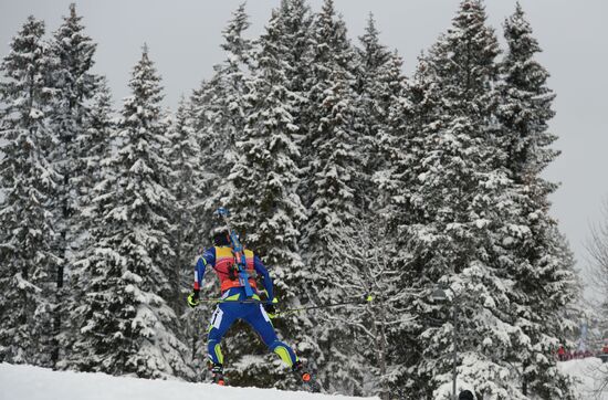 Biathlon World Championships. Men's pursuit