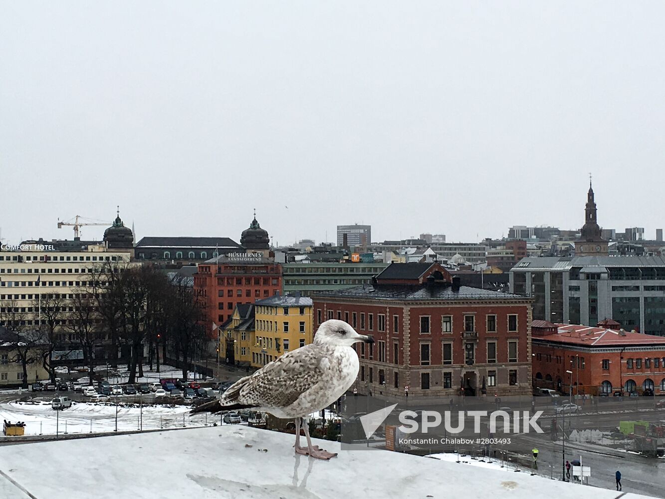 Cities of the world. Oslo