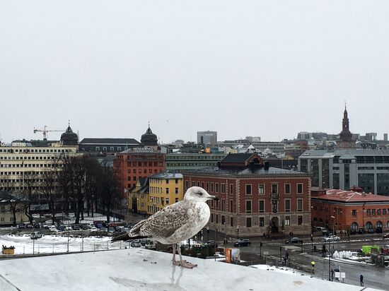 Cities of the world. Oslo