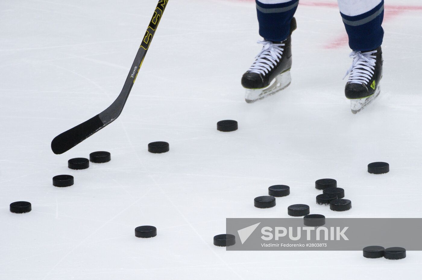 Kontinental Hockey League. Dynamo Moscow vs. SKA