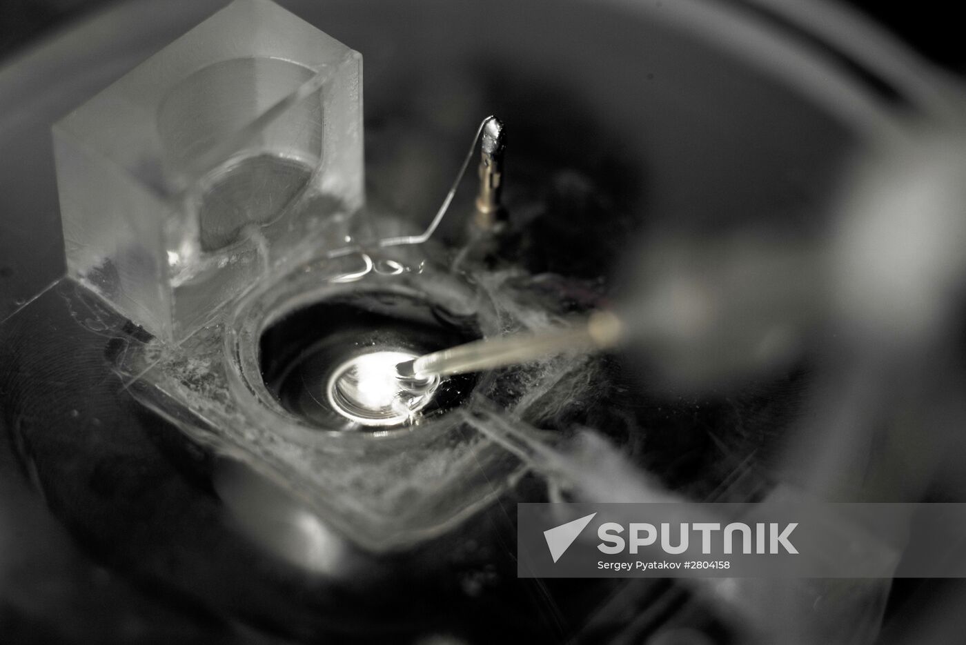 Moscow Institute of Physics and Technology