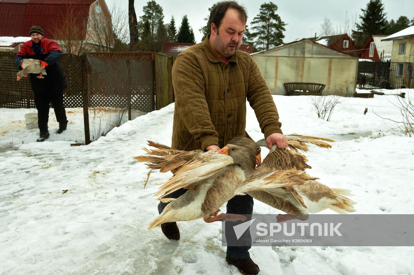 Private farm in Leningrad Region