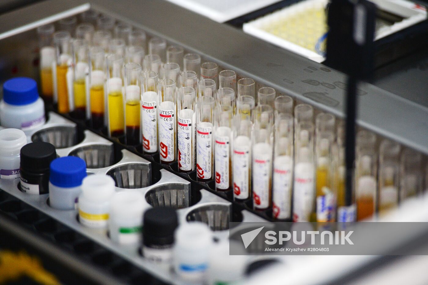 Novosibirsk Blood Center