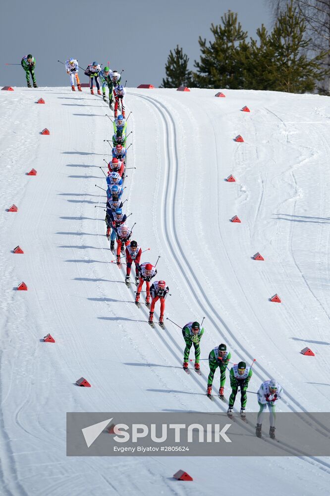 Cross-country skiing. Dyomino marathon