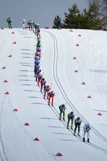 Cross-country skiing. Dyomino marathon