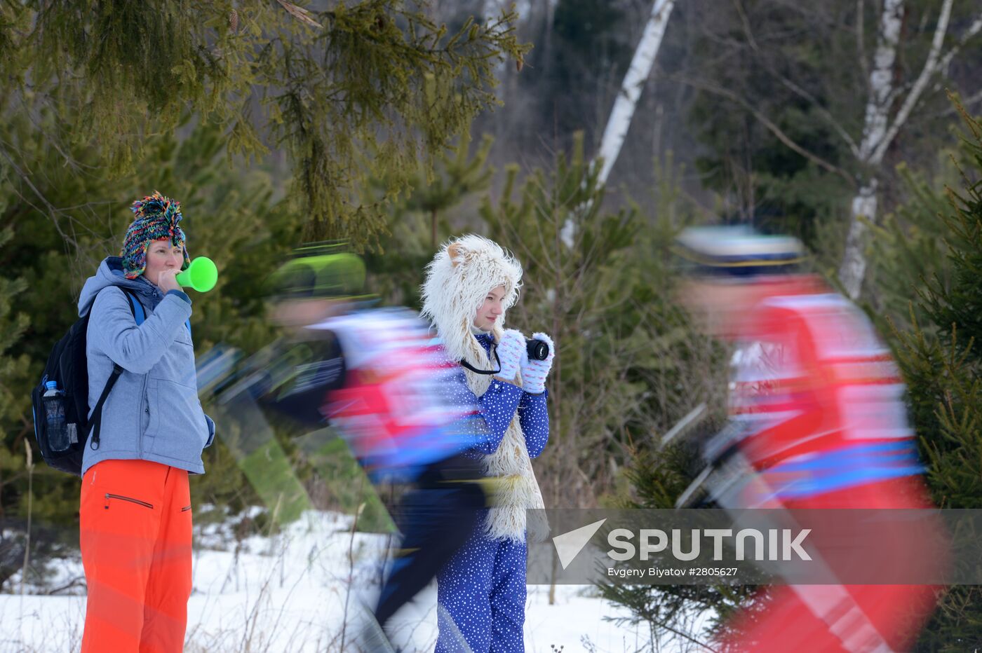 Cross-country skiing. Dyomino marathon