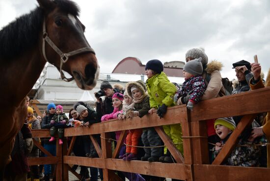 Celebration of Maslenitsa in Moscow