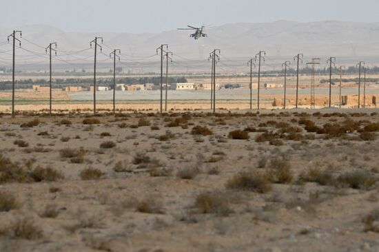 Syrian army during combat operations in the vicinity of Palmyra