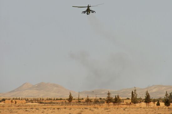 Syrian army during combat operations in the vicinity of Palmyra