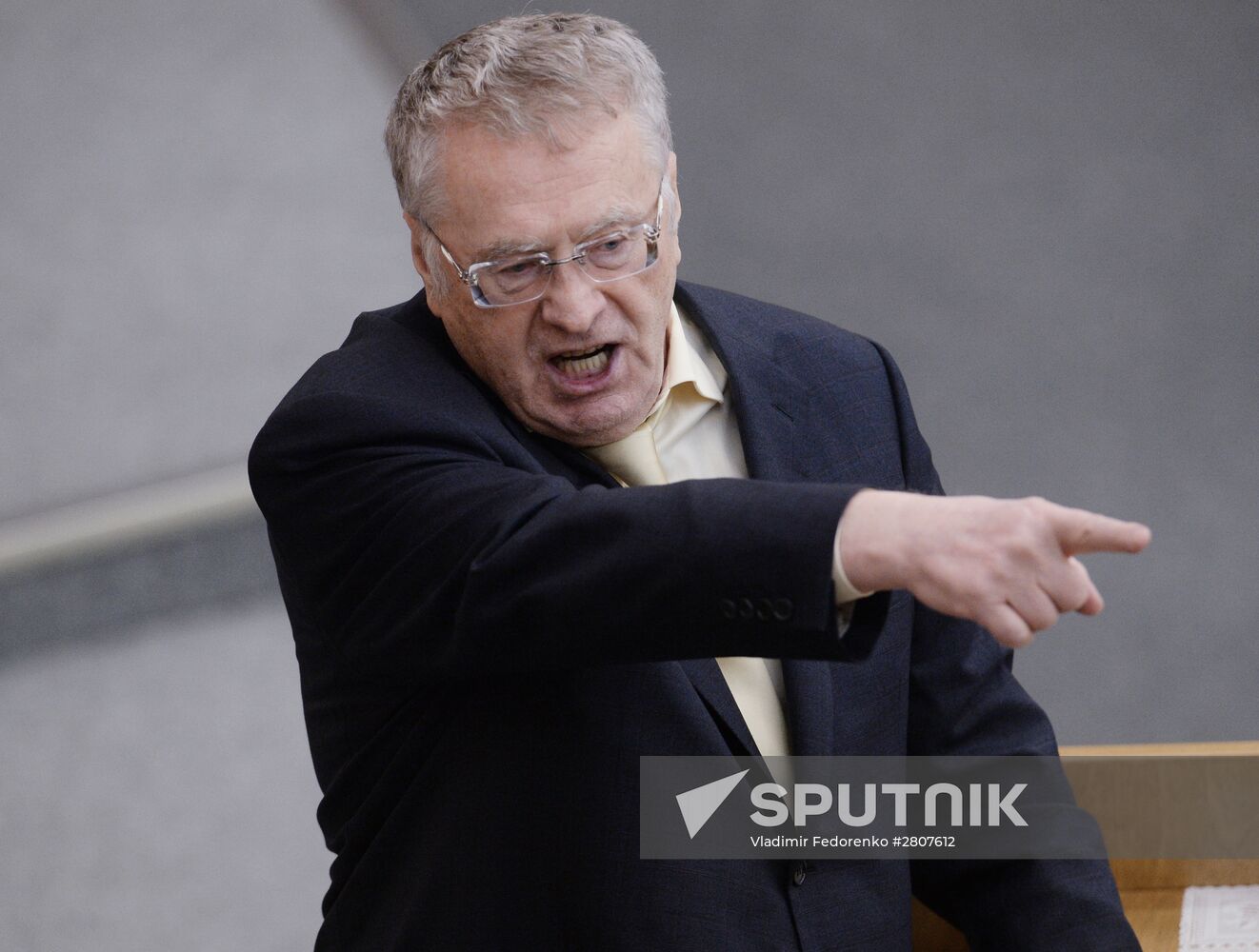 State Duma plenary session