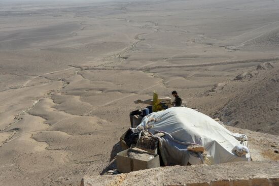 Syrian government army's position around Palmyra