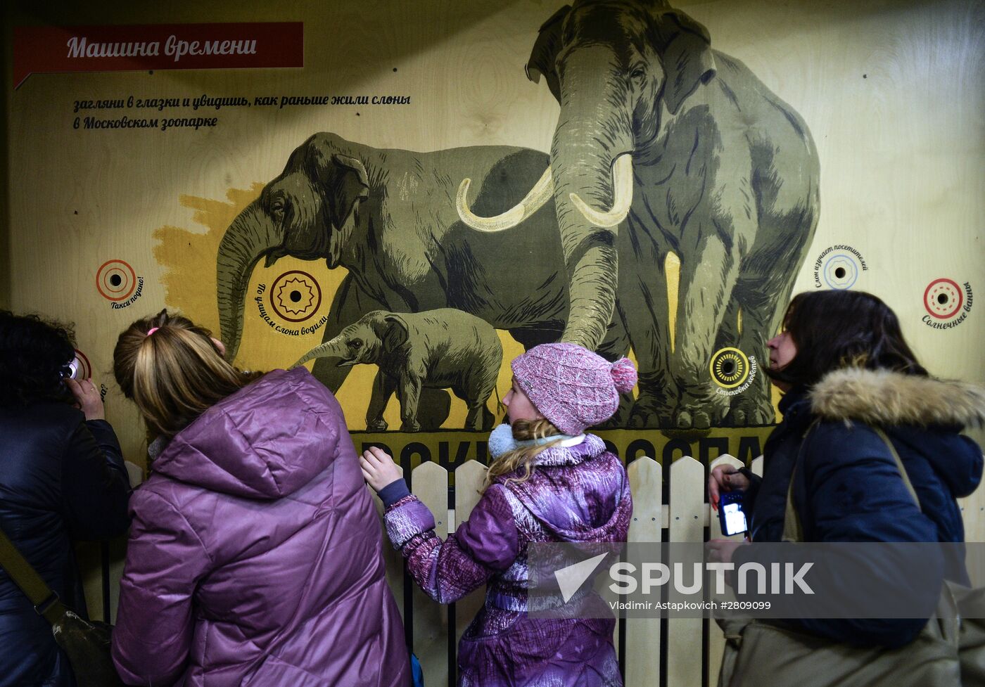 Elephant Museum opens at Moscow Zoo