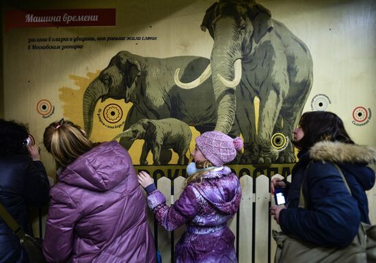 Elephant Museum opens at Moscow Zoo