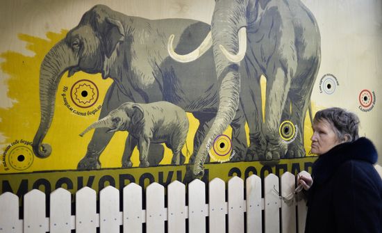 Elephant Museum opens at Moscow Zoo