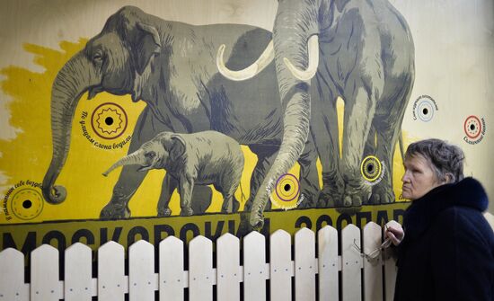 Elephant Museum opens at Moscow Zoo