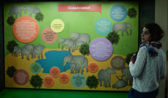 Elephant Museum opens at Moscow Zoo