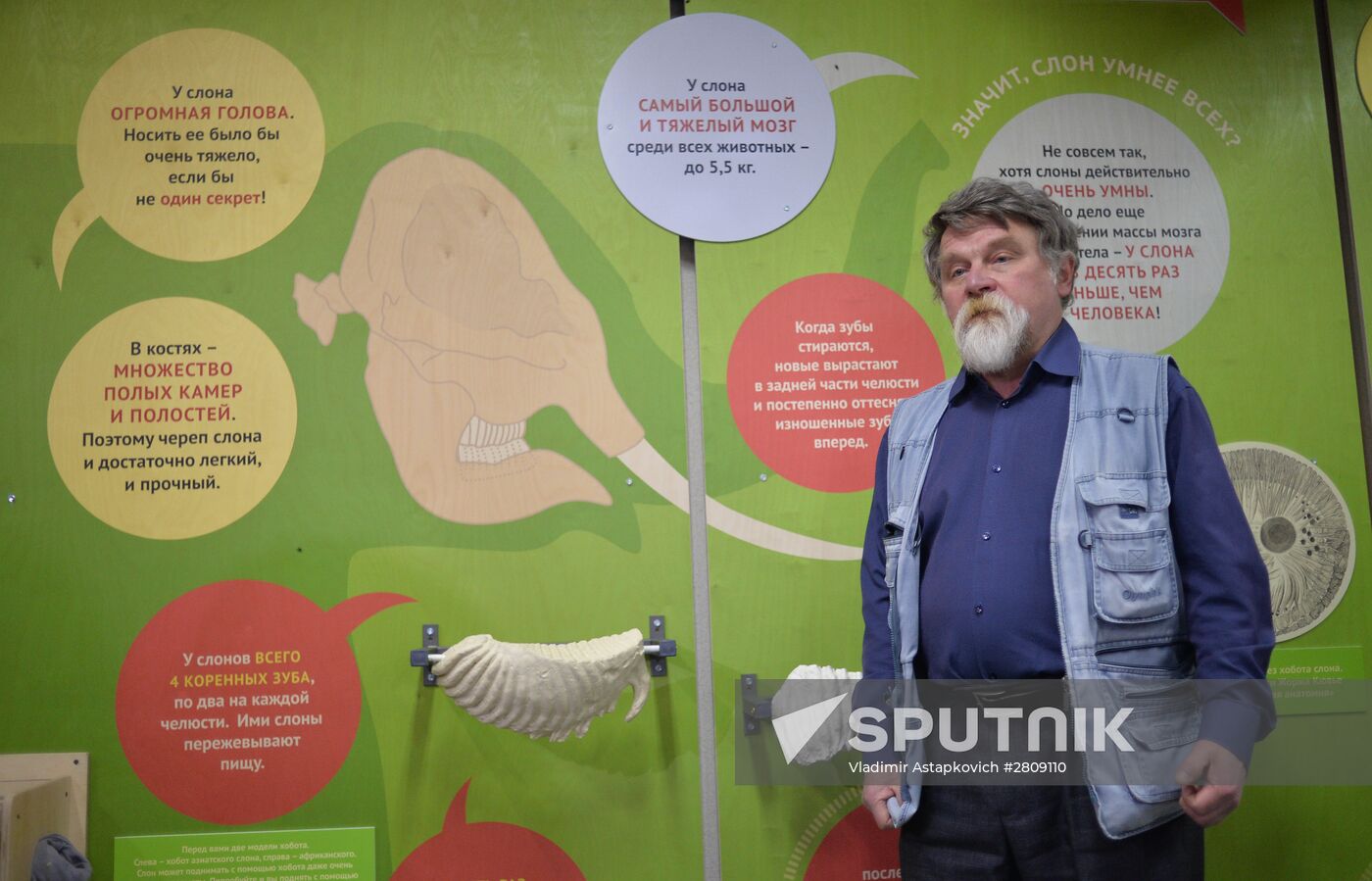 Elephant Museum opens at Moscow Zoo